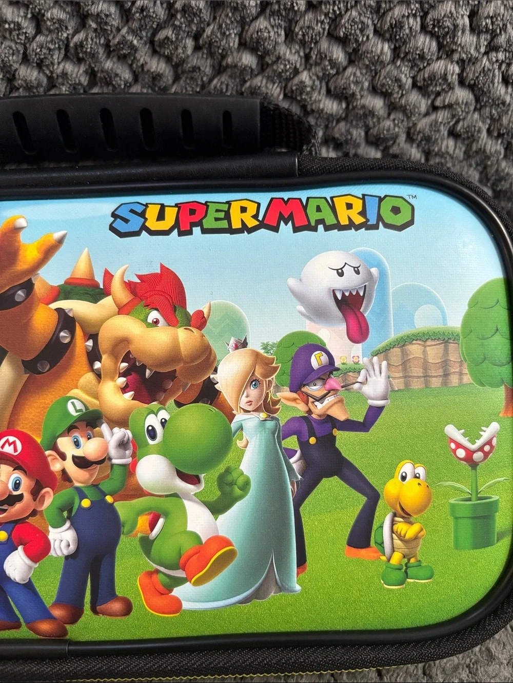 Super Mario Travel Switch (1) Case